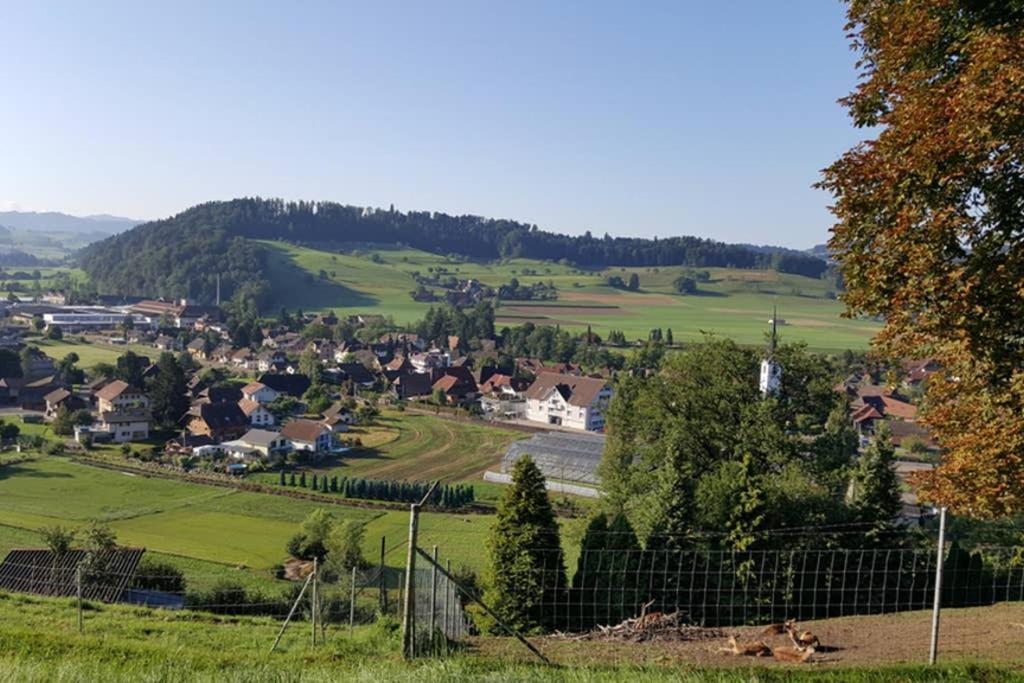 Brachbuhl Marie Huus Appartamento Rohrbach Esterno foto