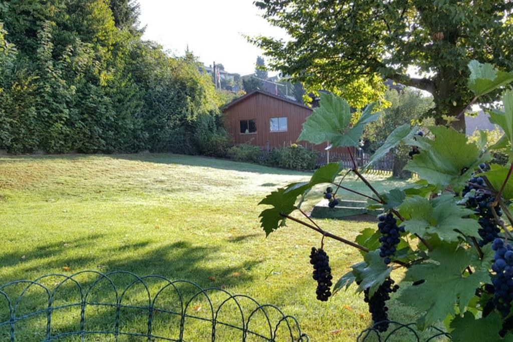 Brachbuhl Marie Huus Appartamento Rohrbach Esterno foto