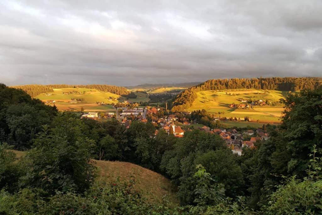 Brachbuhl Marie Huus Appartamento Rohrbach Esterno foto